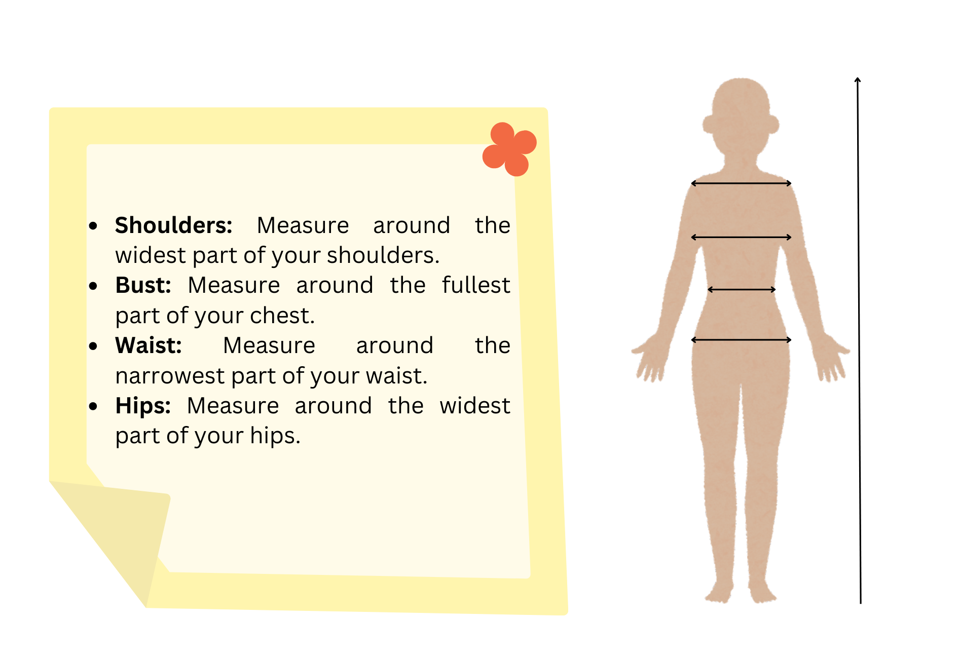 Guide on how to take body measurements: shoulders, bust, waist, and hips