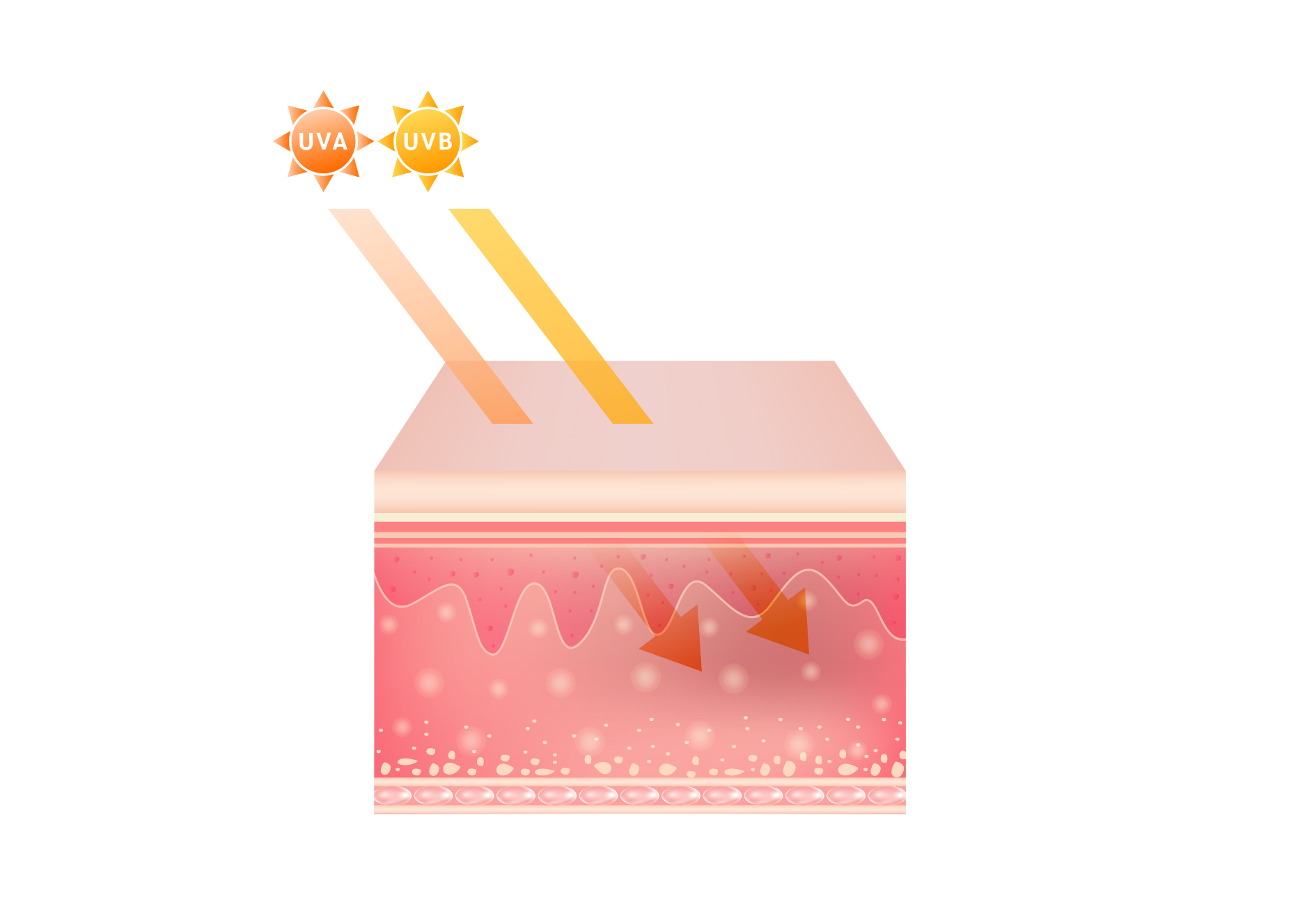 UV rays absorbed by chemical sunscreen